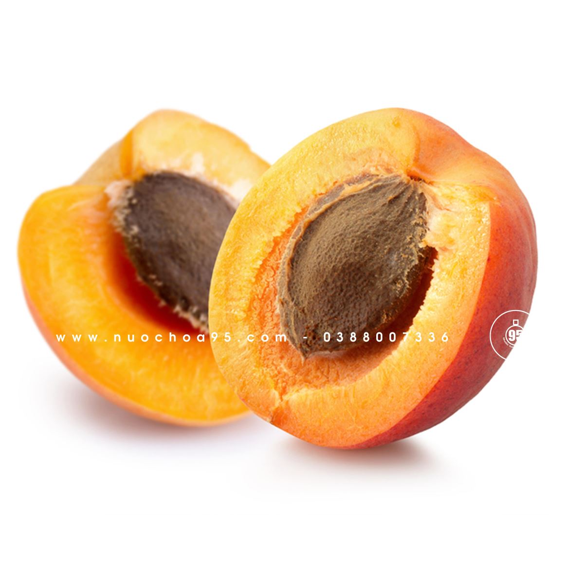 Quả mơ (Apricot)